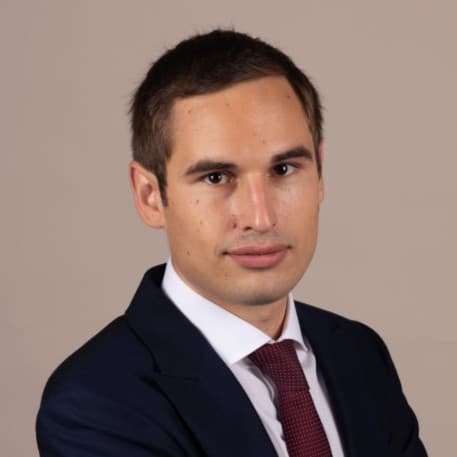 Vincent Michaux, Avocat